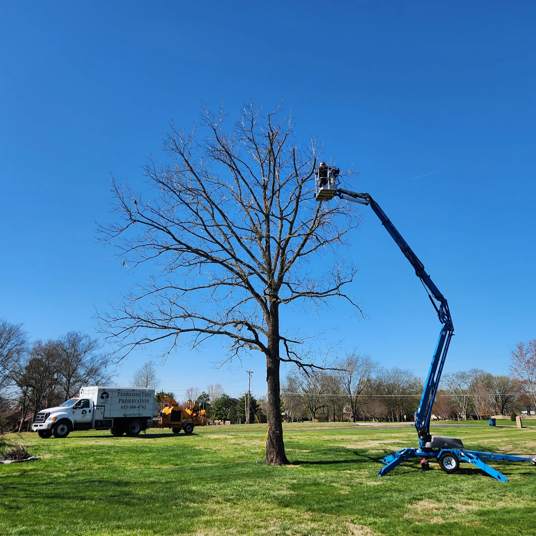TN Tree Preservation Crane