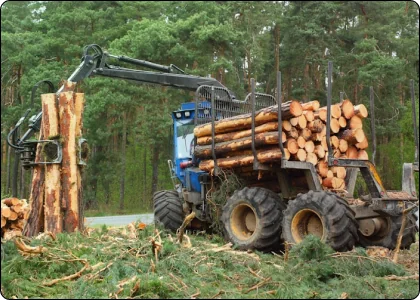 Services 28 Trees being picked up by tractor and placed on a trailer.